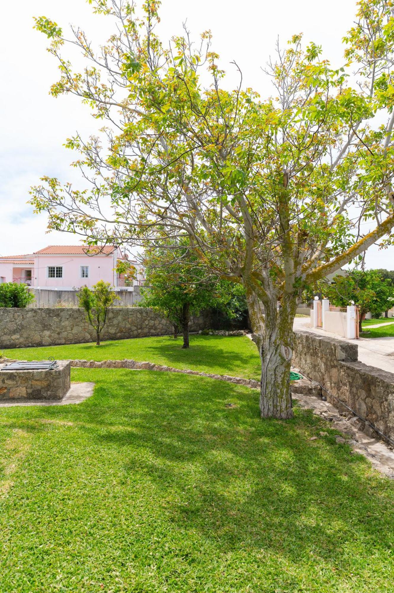 Vasilopoulos Residences - Apartments Ioni & Neso Αργοστόλι Εξωτερικό φωτογραφία